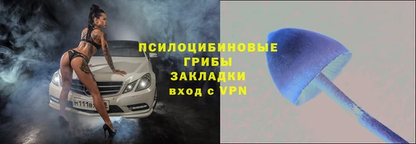 стаф Куйбышев