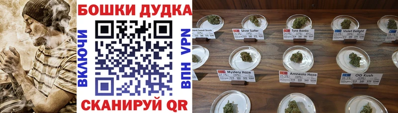 Бошки Шишки SATIVA & INDICA  купить наркотик  Ряжск 